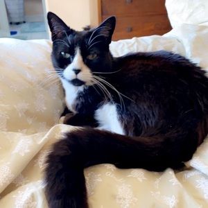 Meet your Posher, Helen